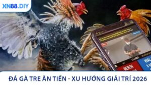 Đá Gà Tre Ăn Tiền - Xu Hướng Giải Trí 2026