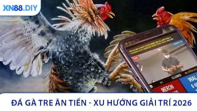 Đá Gà Tre Ăn Tiền - Xu Hướng Giải Trí 2026
