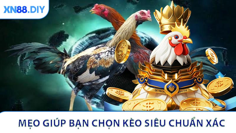 Mẹo giúp bạn chọn kèo siêu chuẩn xác