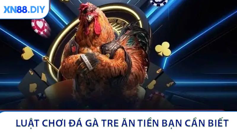 Luật chơi đá gà tre ăn tiền bạn cần biết