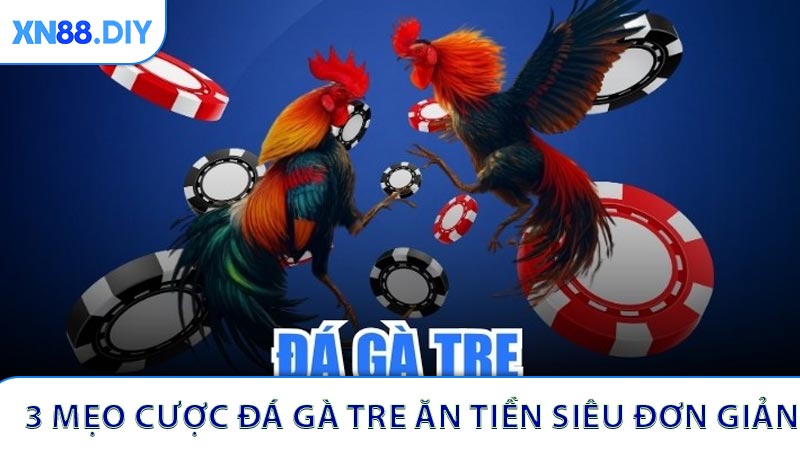3 mẹo cược đá gà tre ăn tiền siêu đơn giản